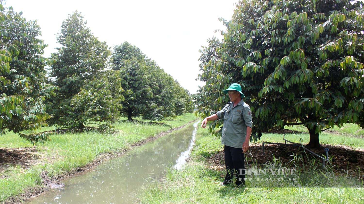 Chính phủ thay đổi cách cấp mã số vùng trồng, doanh nghiệp mừng mà địa phương vẫn thấp thỏm một chuyện gì?